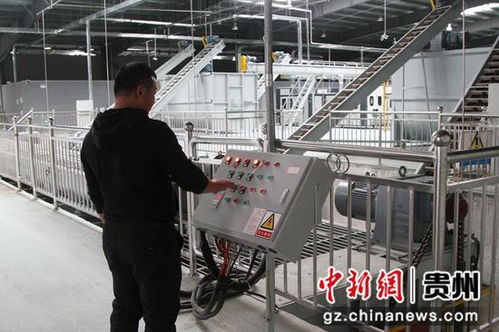 探秘中國首座白參菌全智能化工廠 自主知識(shí)產(chǎn)權(quán)引領(lǐng)食用菌產(chǎn)業(yè)革命